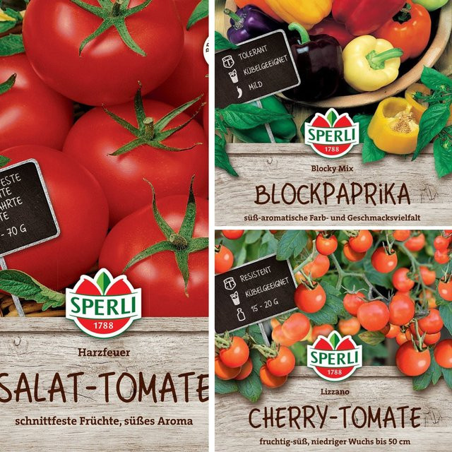 SPERLI Samen-Set Farbenfrohe Ernte mit 3 Saattüten für den Gemüsegarten in Rot, Gelb, Lila und Orange - Bild 1