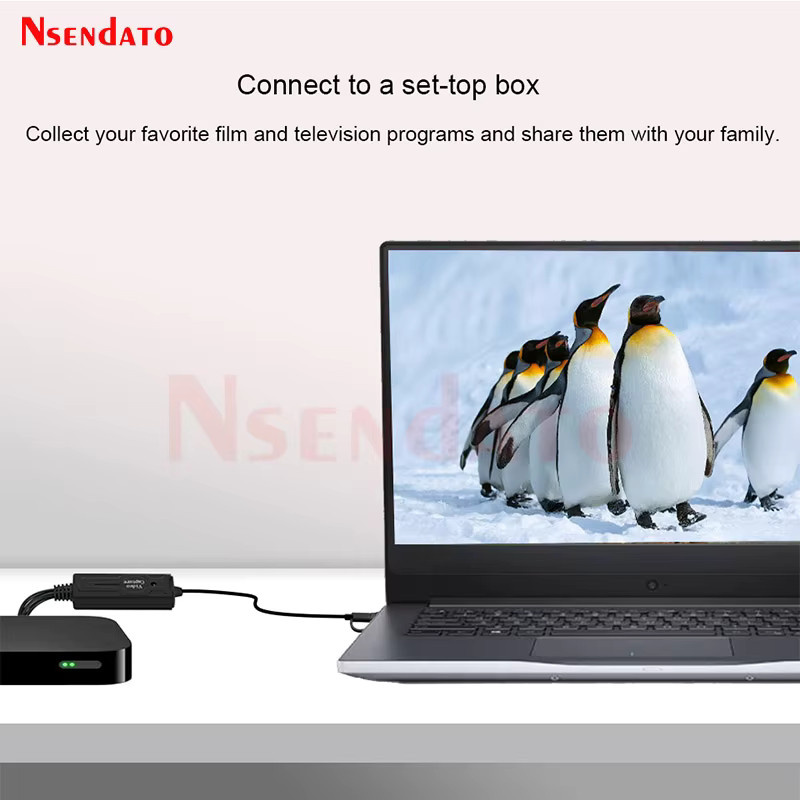 Nsendato 2-in-1 USB Typ C Video Capture Card RCA AV zu USB C Video Grabber Adapter in Schwarz - Bild 3