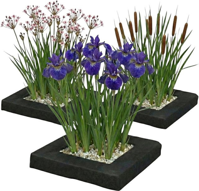 Vdvelde Teich Pflanzeninsel Set aus 3 Teilen mit 12 Wasserpflanzen und Teichkörben in Multicolor - Bild 1