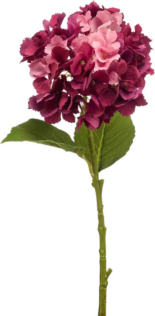 Künstliche Hortensie Trude von Aplanta als Steckpflanze, Höhe: 52 cm - Bild 1