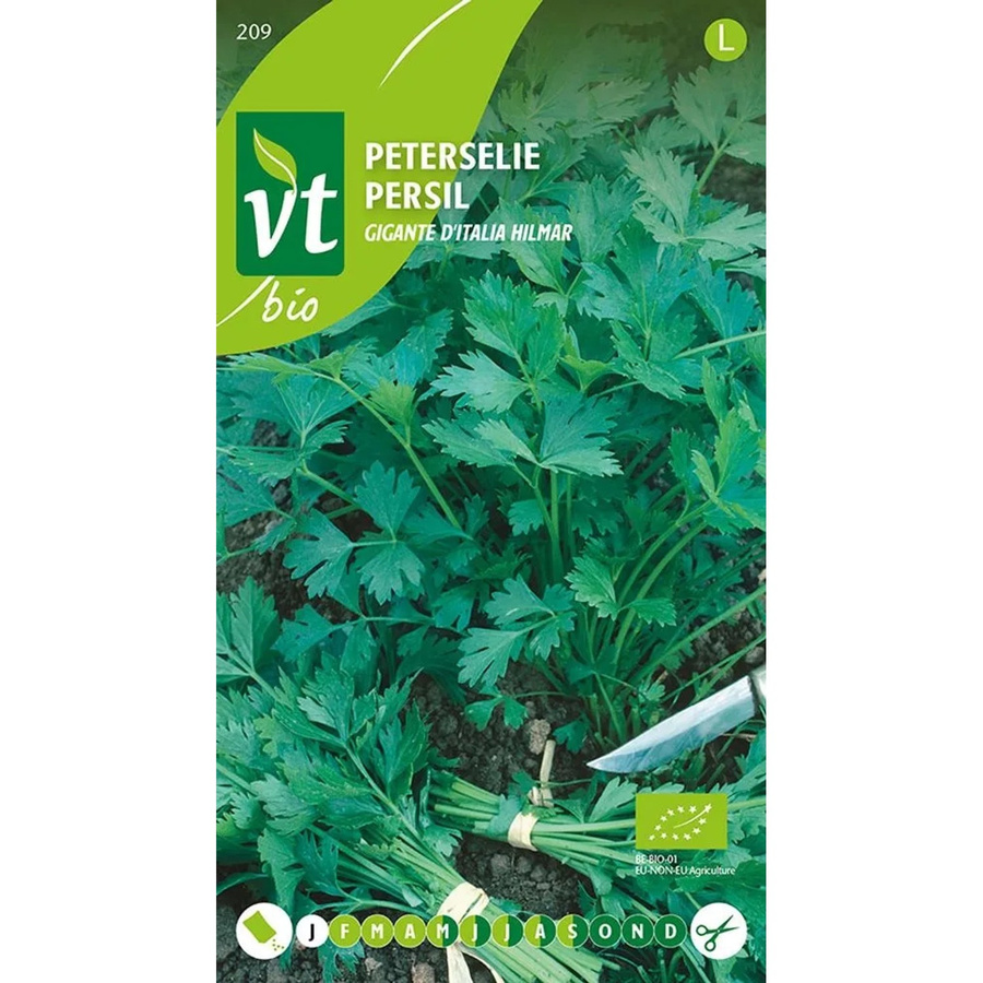 Arborix Bio Petersilie Hilmar Saatgut großblättrig 2 g - Bild 2