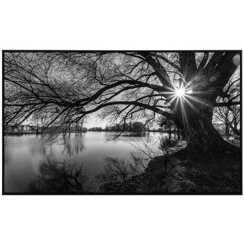 papermoon Infrarotheizung EcoHeat Baumsee Sonnenaufgang mit Matt-Effekt in Bunt, App-Steuerung und Überhitzungsschutz - Bild 2