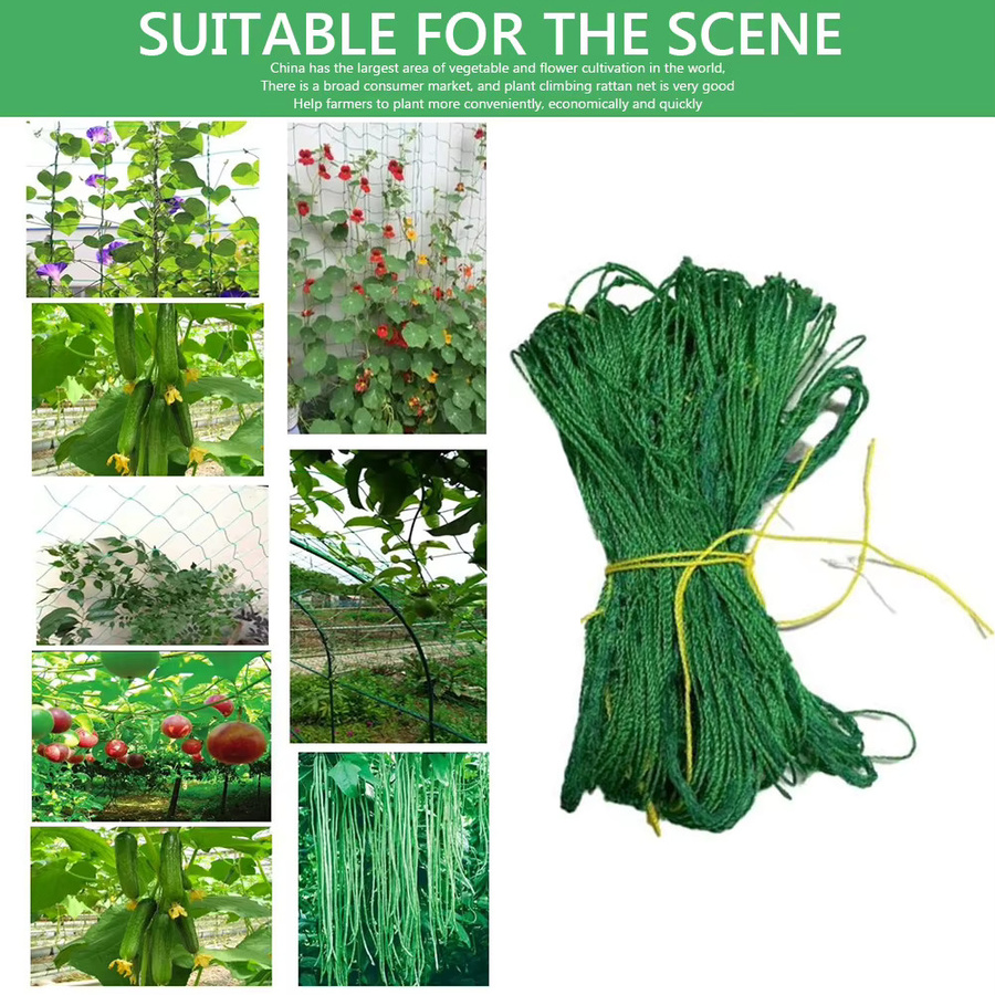 ALLOYSEED Klettergitter Rattan Netz in Grün als Verschleißfeste Rankhilfe für Gartenpflanzen und Gemüse wie Gurken und Wassermelonen - Bild 6