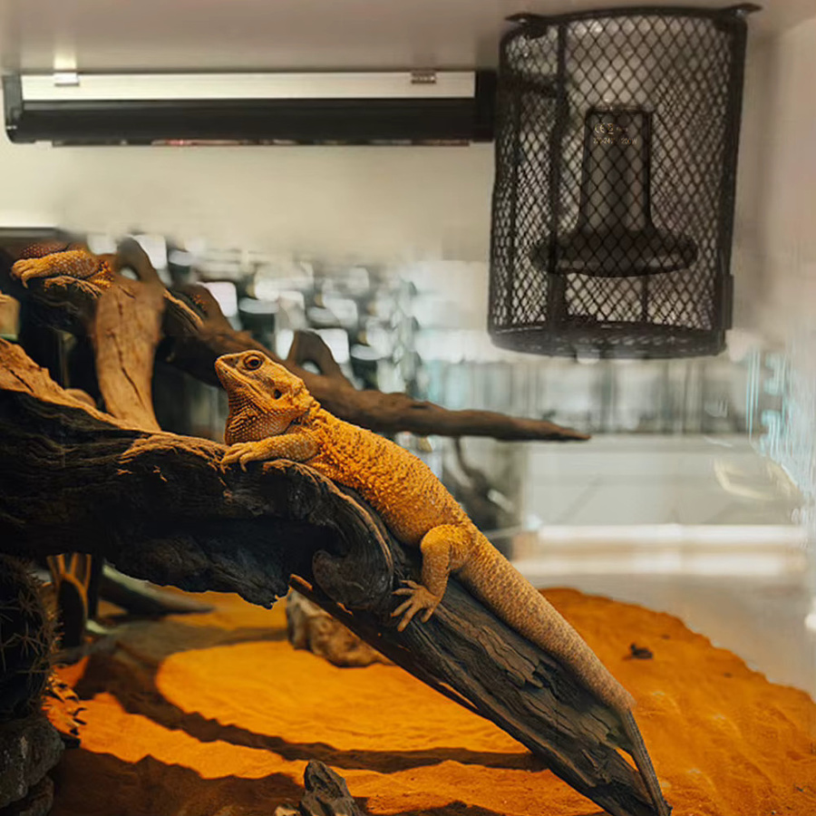 Reptilien-Heizlampenschutz aus Keramik und Metall in Schwarz, Netzabdeckung für Heizbirnen von Eidechsen, Schildkröten und Schlangen - Bild 4
