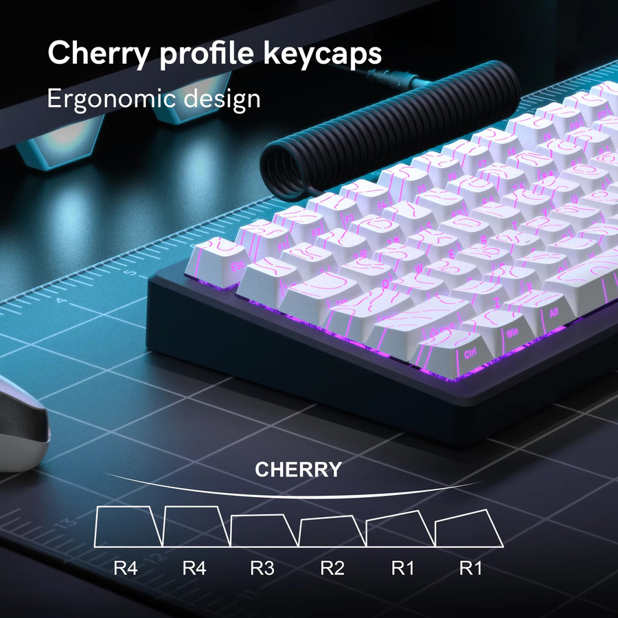 Oeny Topographic 4.0 Double Shot PBT Tastenkappen-Set in Weiß und Schwarz, Cherry Profile für Cherry MX Switches, 98 Tasten mit RGB-Beleuchtung für Gaming-Tastaturen - Bild 2