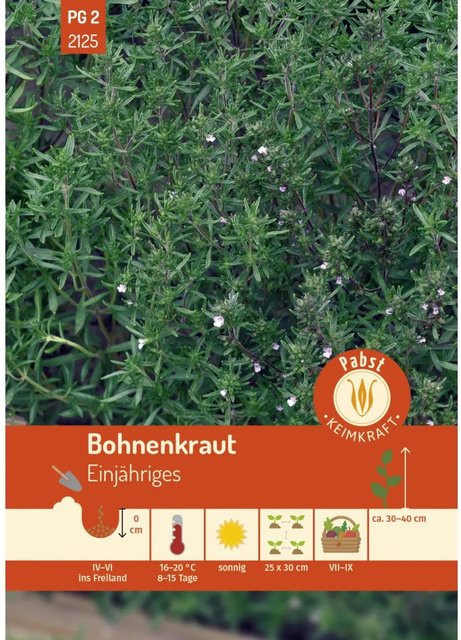 Pabst Keimkraft Bohnenkraut Einjähriges Saatgut Würzkraut - Bild 1