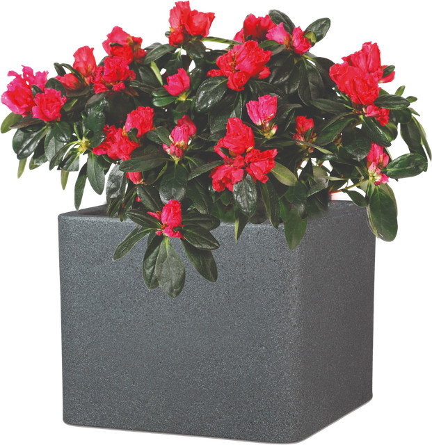 Pflanztopf COMO von Aplanta in Granit Schwarz, B/T/H: 29 x 29 x 23 cm - Bild 1