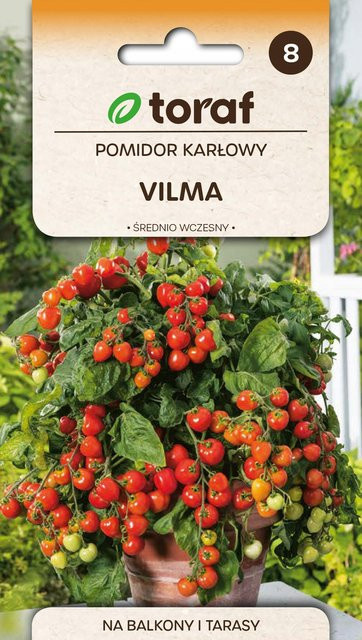 Toraf Tomatensamen VILMA Zwergtomate, rote Früchte, 0,3 g - Bild 1
