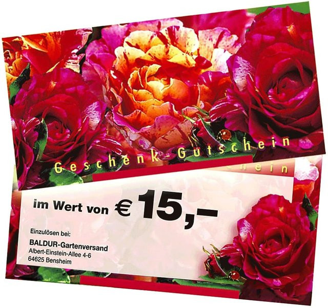 Geschenk-Gutschein im Wert von 15 EUR - Bild 1