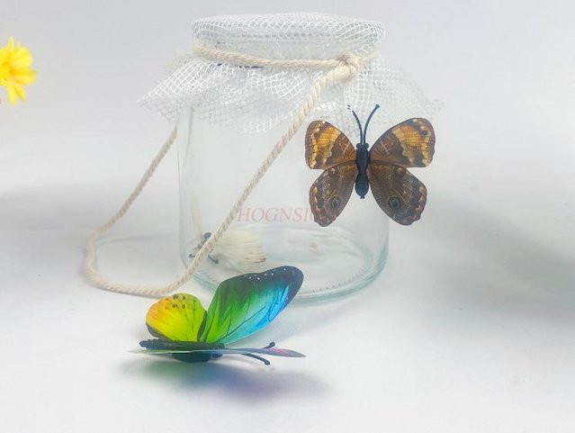Binchi Outdoor Product Schmetterlings-Beobachtungsglas, Insektenbox, Transparent, ab 3 Jahre - Bild 1