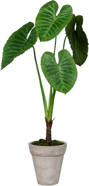 Künstliche Alocasia Benno von Aplanta, grüner Kunstbaum, Höhe: 175 cm - Bild 1