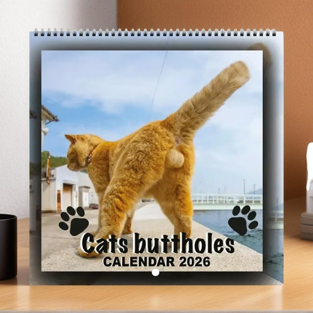Lustiger Wandkalender mit Katzenmotiven für deine Planung, Mehrfarbig - Bild 1