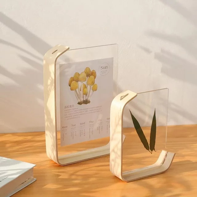 DIY Herbarium Display Rahmen aus Acryl und Holz in Braun, B/H: 15 x 20 cm - Bild 1