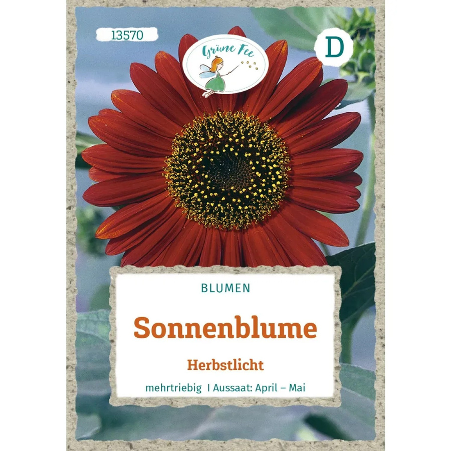 Grüne Fee Sonnenblume Herbstlicht Saatgut - Bild 2