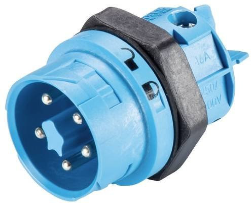 Wieland Electric Geräteanschluss in Blau 46.052.5053.9 - Bild 1