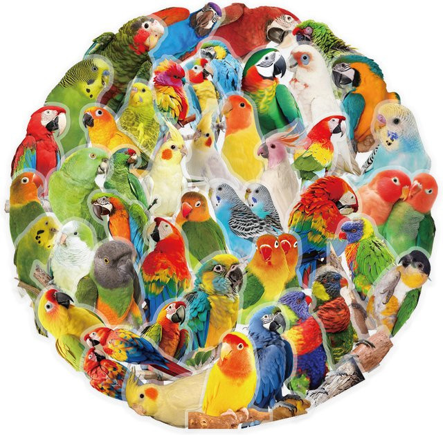 53 Stück Papageienmuster Aufkleber in Gold und Multicolour zur Dekoration von Tagebüchern und Sammelalben von Golden Memory Stickers Store - Bild 1