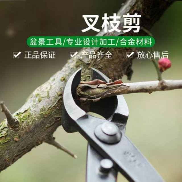 Bonsai-Schere aus geschmiedetem Stahl mit rundem Kopf in Schwarz für die Gartenarbeit und Baumpflege - Bild 1