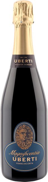 Uberti Franciacorta Saten Magnificentia 2020, Chardonnay, Italien, 0,75 l - Bild 1