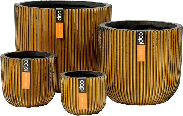 Capi Gemischte Box Groove Gold mit 4 Töpfen für Tabletop - Bild 1