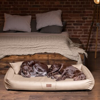 Tierlando CLIFFORD SOFT orthopädisches Hundebett beige, B/T/H: 85 x 60 x 16 cm - Bild 3