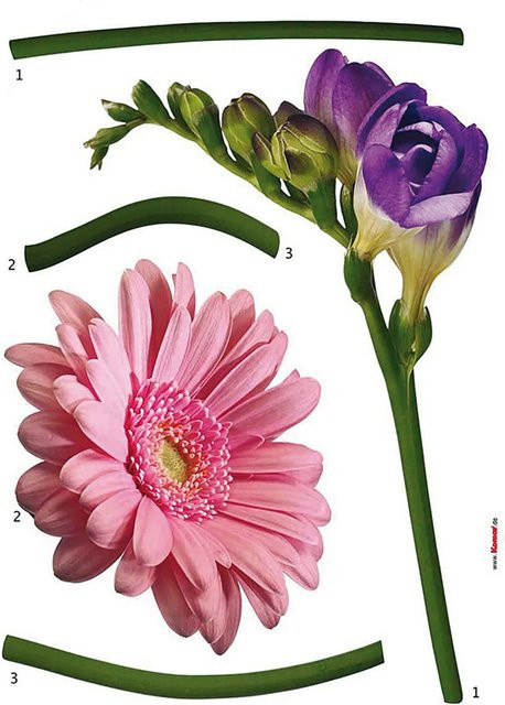 Komar Deko-Sticker Fiore Aufkleber für Kinder, Mehrfarbig, Breite: 50 cm, Höhe: 70 cm - Bild 1