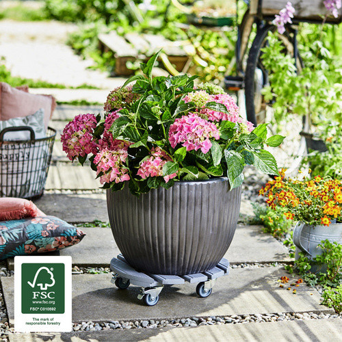 Wagner System Multiroller GreenHome Kübelroller aus Buchenholz in Anthrazit, Durchmesser: 38 cm - Bild 2
