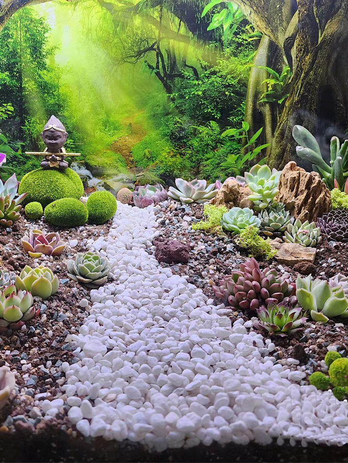 Dekorative weiße Kieselsteine als Vasenfüller und Ziersteine für Sukkulenten, Kakteen, Bonsai sowie Garten und Innenbereich - Bild 2