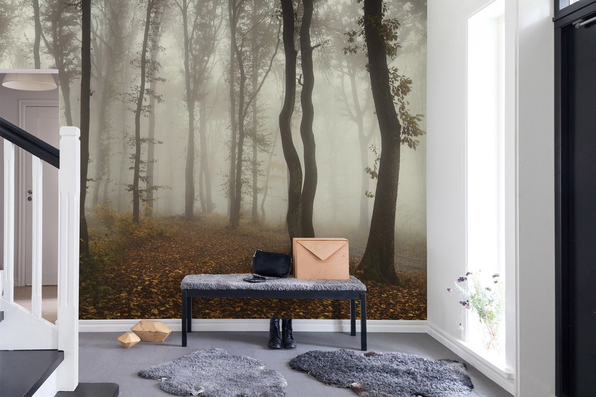 Rebel Walls Mural Timberland Fototapete Natur Landschaft Mehrfarbig B: 270 cm, H: 45 cm - Bild 1