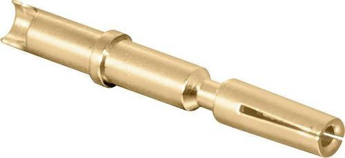 Intercontec Kontaktbuchse 60.013.11 in Gold - Bild 1