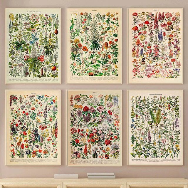 Millot Vintage Fleurs Blumen Poster Botanische Illustrationen als Leinwand Wandkunst - Bild 1
