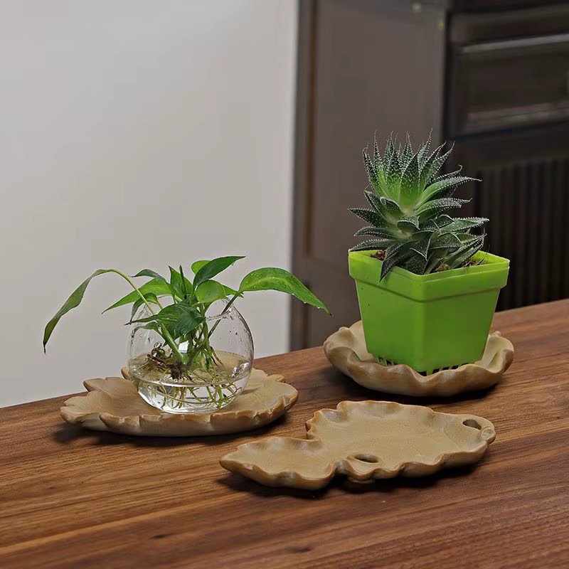 Kreatives Hydrokulturpflanzen-Tablett aus brasilianischem Holz mit Keramik-Untertasse in Beige für deine Zimmerpflanzen - Bild 1