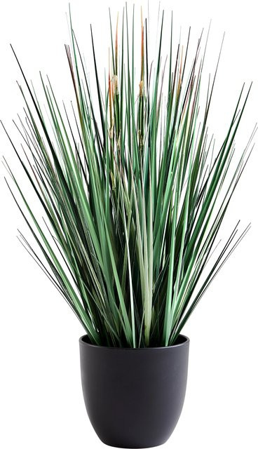 Künstliches Gras Odalinde von Aplanta, Höhe: 60 cm - Bild 1