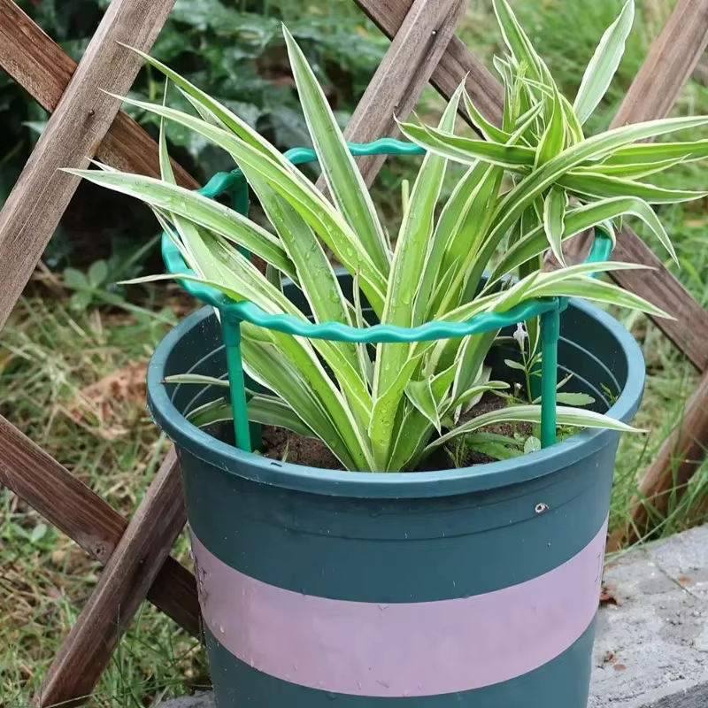 Wiederverwendbare Kletterhalterung für Blumen und Pflanzen als Pflanzenschutz für Indoor und Garten - Bild 2