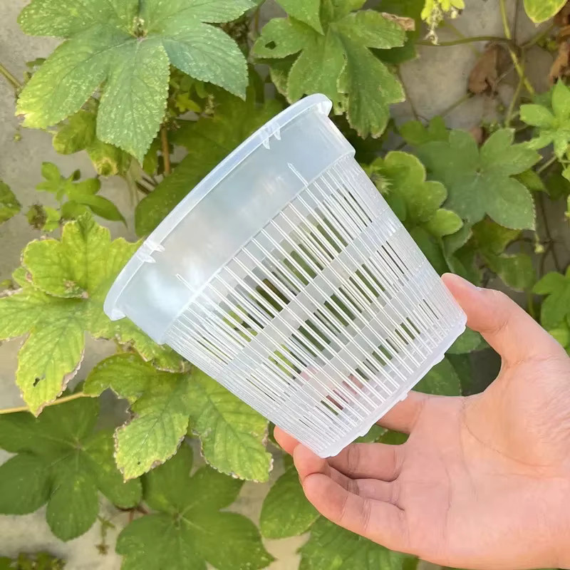 Transparenter Mesh Blumentopf aus Kunststoff für Orchideen und Garten, B/T/H: 11 x 14 cm - Bild 2