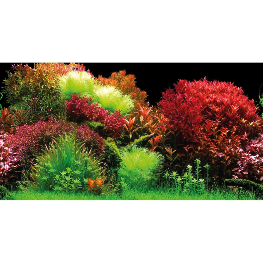 Hobby Fotorückwand-Zuschnitt Selbstklebend Ocean, B: 120 cm, H: 50 cm - Bild 2