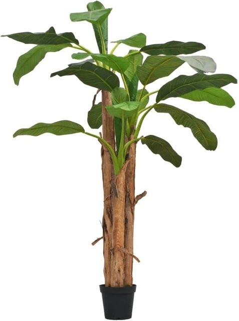 furnicato Künstlicher Bananenbaum in Grün mit Topf, Höhe: 200 cm - Bild 1
