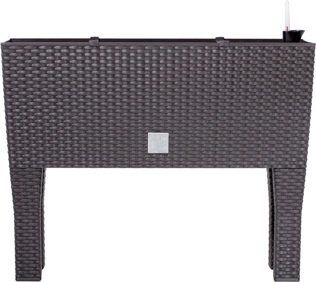 PROSPERPLAST Blumenkasten Rato Case High mit Bewässerungseinsatz in Rattan-Optik, Farbe: Umber, B/H/T: 60 x 46 x 25 cm - Bild 1