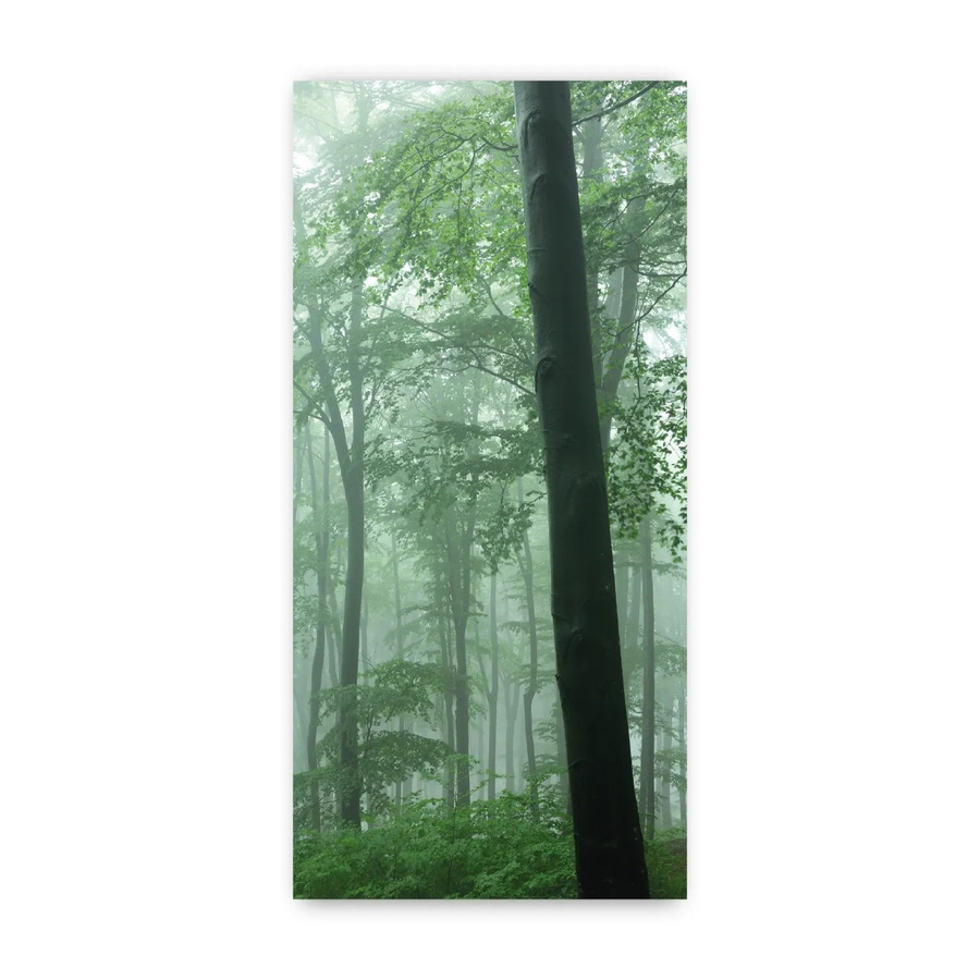 Walllux Duschrückwand Nebel im Wald aus Alu-Verbund, Breite: 100 cm, Höhe: 210 cm, Stärke: 3 mm - Bild 2