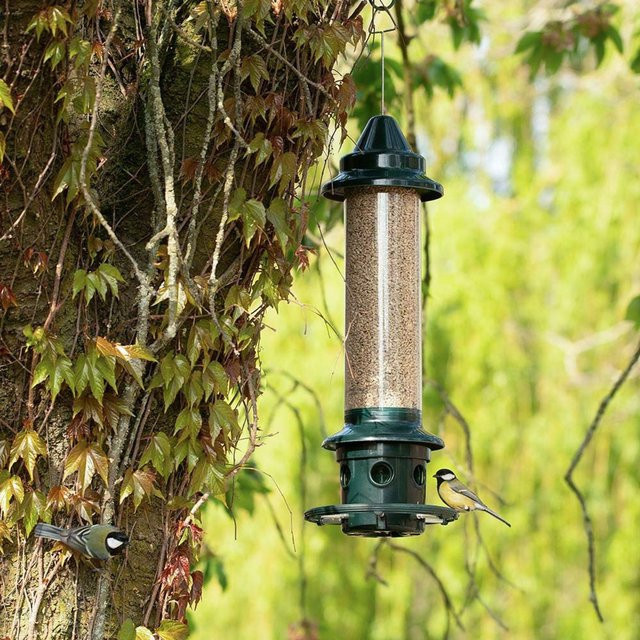Brome Squirrel Buster Futtersäule in Grün - Bild 1