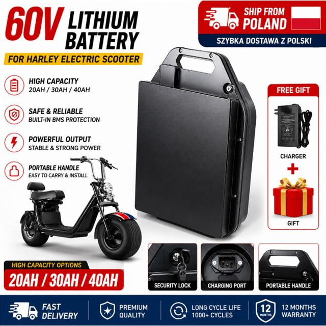 Wasserdichter Lithium-Ionen-Ersatzakku mit integriertem BMS für Citycoco Harley E-Motorrad, 60V, Farbe: Schwarz - Bild 1