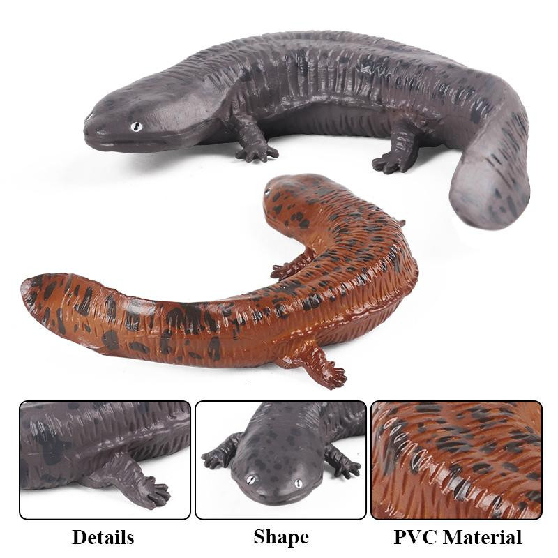 Oenux Molch Salamander Cryptobranchoidea Actionfigur ab 3-6 Jahre - Bild 2
