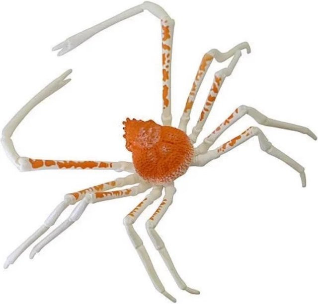 Yiran toy 1 Macrocheira Kaempferi Seewolf, Simulationsfigur, ab 14 Jahren - Bild 1