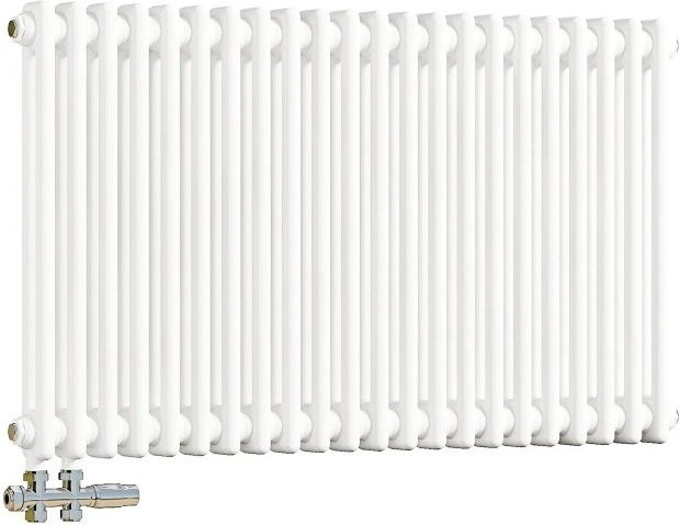 Duschparadies Heizkörper für Warmwasserbetrieb Weiß B: 60 cm, H: 101 cm, 2 Säulen, 1114W - Bild 1