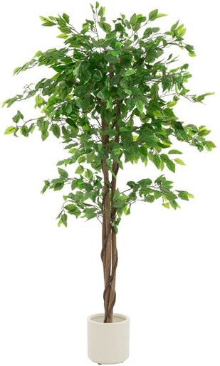 ML-Design Künstlicher Ficus mit Naturholzstamm in Grün und Braun, Höhe: 150 cm - Bild 1