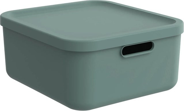 Rotho Multibox Albula 20 Aufbewahrungsbox in Mistletoe Green - Bild 1