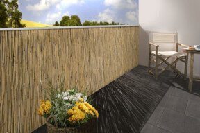 floraworld Schilfrohrmatte Comfort Plus in Beige, B: 100 cm, L: 600 cm - Bild 1