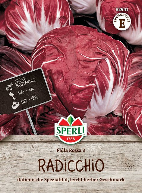 SPERLI Radicchio-Samen Palla Rossa 3 Rot für den Sommergarten - Bild 1