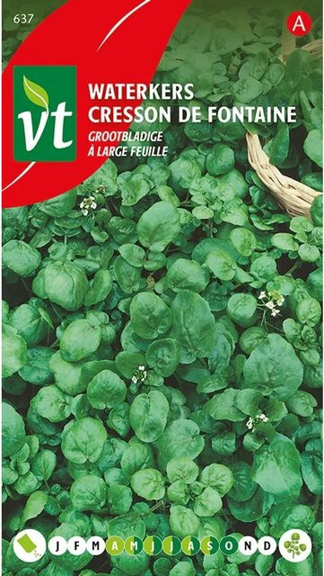 Arborix Brunnenkresse Big Leaf Saatgut, 1,5 g - Bild 1