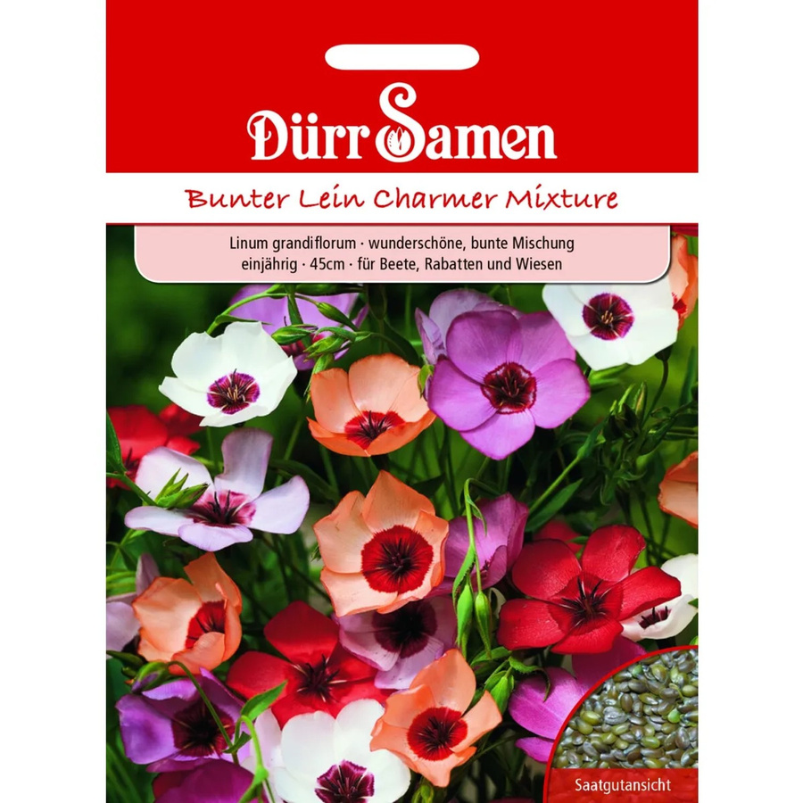 Dürr Samen Bunter Lein Charmer Mix Einjähriges Saatgut für Beete und Rabatten - Bild 2