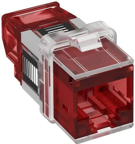 OBO Bettermann ASM-C6A RJ45-Einbaumodul CAT 6a Ethernet/LAN in Rot - Bild 1